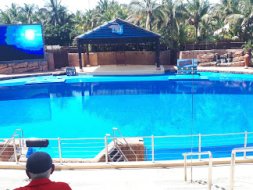 Silver Sands timeshare resort in Durban Central, KZN