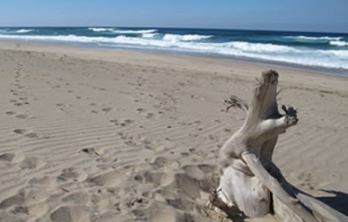 KZN timeshare resorts